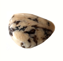 Load image into Gallery viewer, Dendrite Jasper Pocket Stone