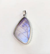 Butterfly Wing Pearl Blue Morpho Pendant in Size Large