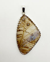 Load image into Gallery viewer, Pearl Blue Morpho Butterfly Wing Pendant in XL