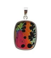 Sunset Moth Butterfly Wing Pendant Medium Oblong