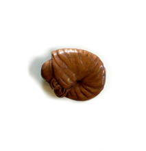 Load image into Gallery viewer, Ammonite Ojime Bead