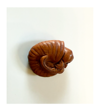 Load image into Gallery viewer, Ammonite Ojime Bead