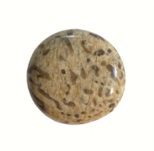Load image into Gallery viewer, Dendrite Jasper Palm Stone