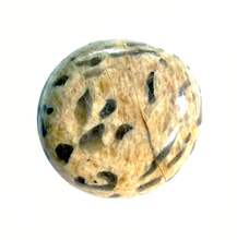 Load image into Gallery viewer, Dendrite Jasper Palm Stone