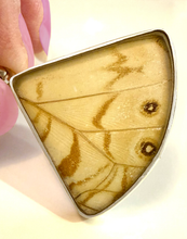 Load image into Gallery viewer, Butterfly Wing Pearl Blue Morpho Butterfly Pendant in a Fan Shape