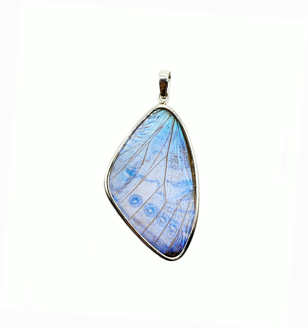 Pearl Blue Morpho Butterfly Wing Pendant in XL