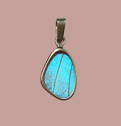Butterfly Wing Pendant Pearl Blue Morpho Butterfly Pendant Extra Small Size