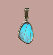 Butterfly Wing Pendant Pearl Blue Morpho Butterfly Pendant Extra Small Size