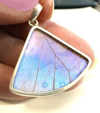 Load image into Gallery viewer, Butterfly Wing Pearl Blue Morpho Butterfly Pendant in a Fan Shape
