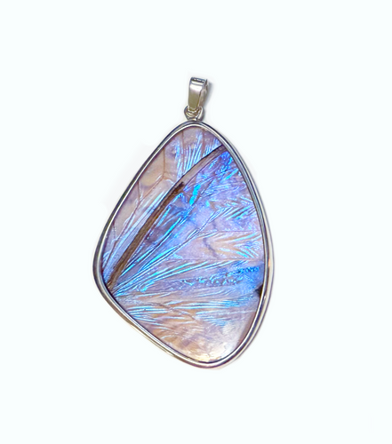 Butterfly Wing Pearl Blue Morpho Pendant in XXL