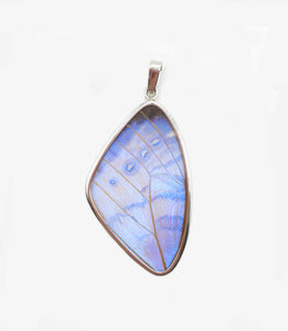 Pearl Blue Morpho Butterfly Wing Pendant in XL