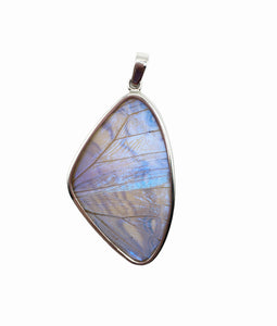 Pearl Blue Morpho Butterfly Wing Pendant in XL