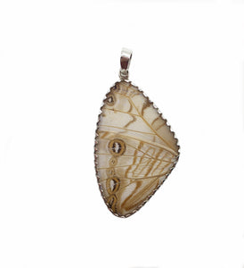 Pearl Blue Morpho Butterfly Wing Pendant in XL