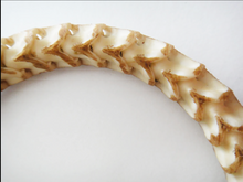 Load image into Gallery viewer, Python Vertebrae Adjustable Snake Bracelet