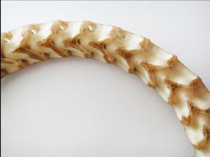 Python Vertebrae Adjustable Snake Bracelet