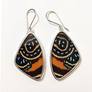 Butterfly Wing Earrings Speckled Numberwing in Large Size
