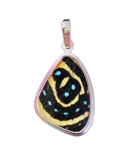 Load image into Gallery viewer, Butterfly Wing Pendant Speckled Numberwing in Small Size