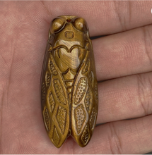 Load image into Gallery viewer, Golden Tigers Eye Cicada Talisman