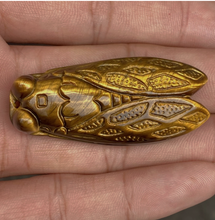 Load image into Gallery viewer, Golden Tigers Eye Cicada Talisman