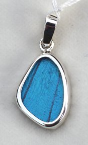 Butterfly Wing Pendant Blue Morpho Butterfly Pendant in Sterling Silver Extra Small
