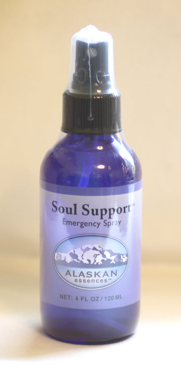 Soul Support Flower and Gem Spray 2 oz size