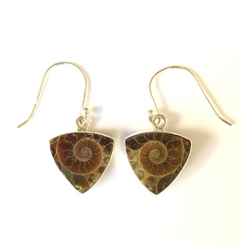 Ammonite Earrings Silver Sacred Geometry Triangle Shields