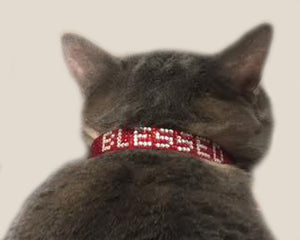 Red or Black "Blessed" Rhinestone Crystal Break-Away Kitty Cat Collar with Bell