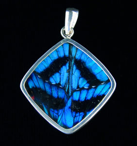 Butterfly Wing Pendant Blue Flash in sterling silver diamond shape