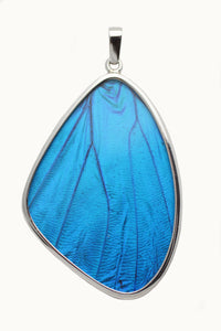 Butterfly Wing Blue Morpho Silver Pendant XXL