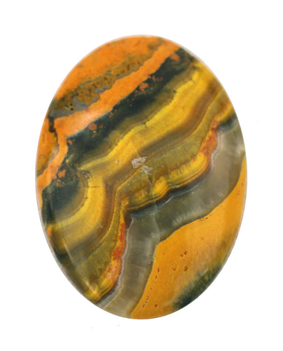 Bumble Bee Jasper Cabochon