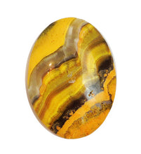 Load image into Gallery viewer, Bumble Bee Jasper Cabochon