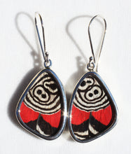 Load image into Gallery viewer, Butterfly Wing Earrings Cramers 88 Butterfly Earrings