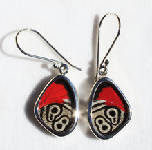 Load image into Gallery viewer, Butterfly Wing Earrings Cramers 88 Butterfly Earrings