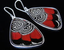 Load image into Gallery viewer, Butterfly Wing Earrings Cramers 88 Butterfly Earrings