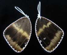 Load image into Gallery viewer, Butterfly Wing Earrings Cramers 88 Butterfly Earrings