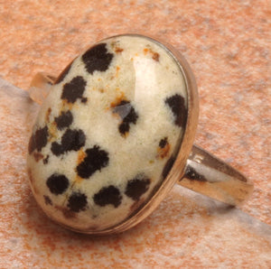 Dalmatian Stone Size 6 Ring