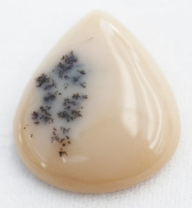 Dendrite Opal Tree Agate Cabochon