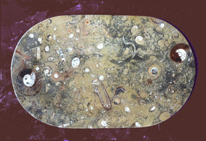 Fossil Serving Platter medium size