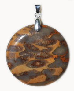 Fossilized Crinoid Pendant for vitality, inspiration and good judgment