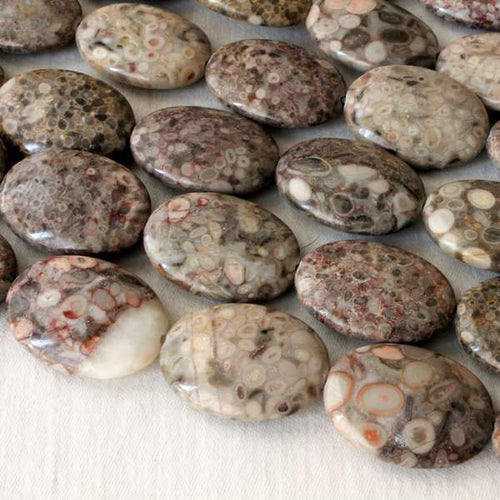 Fossilized Coral 16 inch Strand of 18x25mm Oval Beads