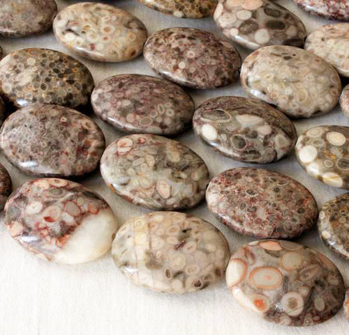 Fossilized Shell Stone Beads strand of 18x25mm oval beads