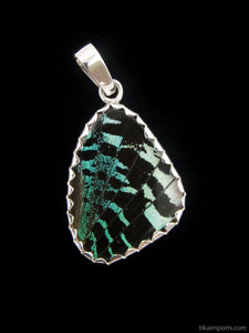 Butterfly Wing Pendant Green Banded Urania Leilus Small Wing Shape