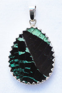 Butterfly Wing Pendant Green Banded Urania Leilus Medium Pear Shape
