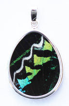 Load image into Gallery viewer, Butterfly Wing Pendant Green Banded Urania Leilus Medium Pear Shape
