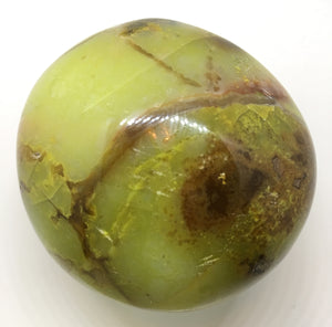 Green Opal Palm Stone 5.6 oz size