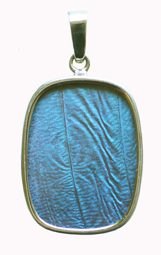 Blue Morpho Butterfly Pendant Medium Oblong