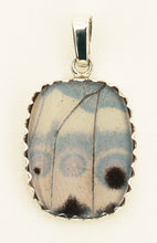 Load image into Gallery viewer, Butterfly Wing Pendant Jungle Queen Small Oblong Shape