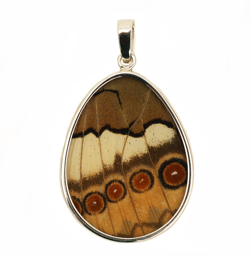 Butterfly Wing Pendant Jungle Queen in a pear shape is size large.