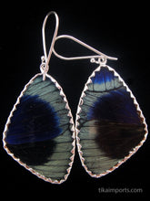 Load image into Gallery viewer, Butterfly Wing Earrings Green and Red Peacock Butterfly Large