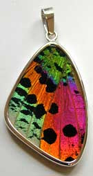 Sunset Moth Butterfly Wing Pendant Large Size